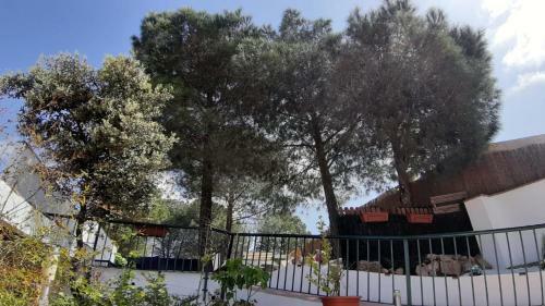 El Pinar Del Coto