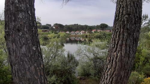 El Pinar Del Coto