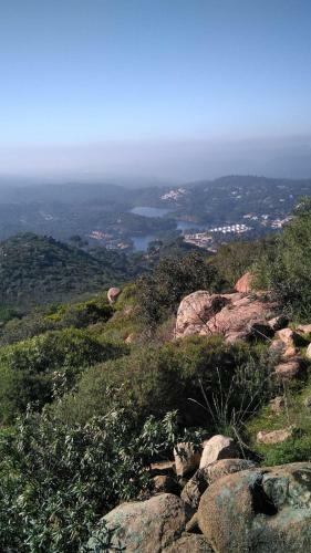El Pinar Del Coto