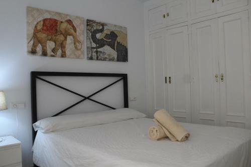 Apartamento Piso En Pleno Coraz�n De Cordoba