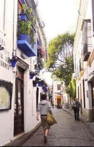 Apartamento Perez De Castro