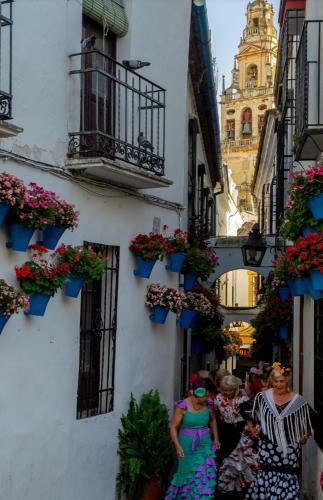 Apartamento Perez De Castro