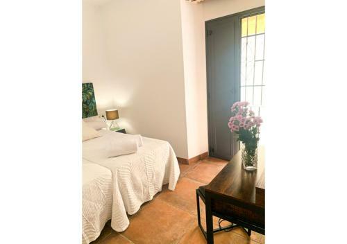 Apartamento Patio San Andr�s