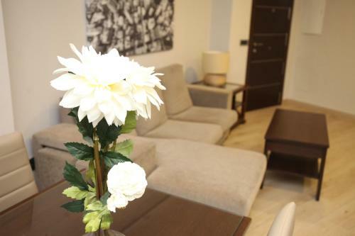 Apartamento Ca�o