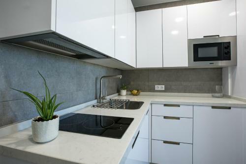 Apartamentos Ribera 19