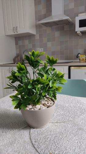 Apartamento Guimar New Style, Tu Nueva Elecci�n