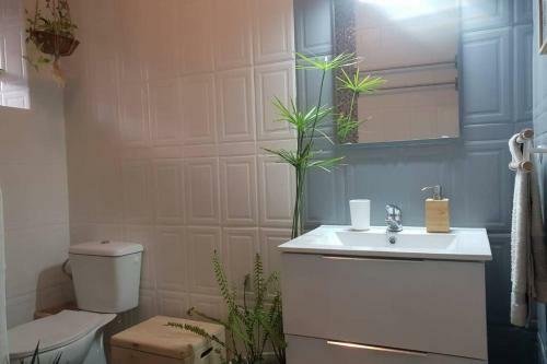 Bonito Y Coqueto Apartamento
