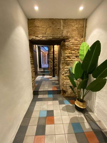 Apartamento Lineros Suite