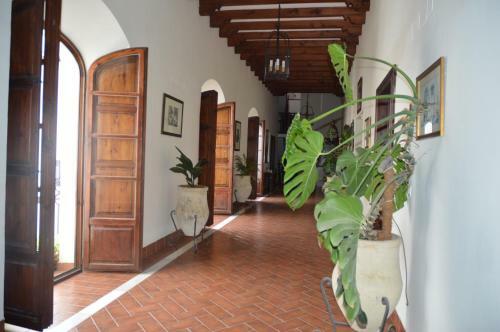 Apartamento C�rdoba Cool Vailima 2