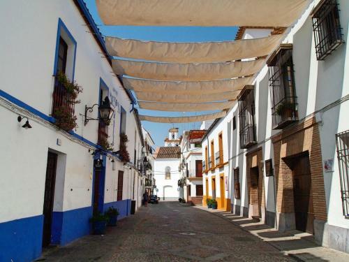 Apartamento Patios De San Basilio