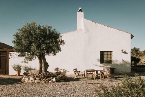 Finca El Pocico