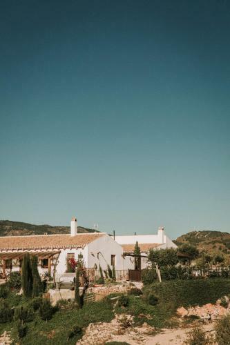 Finca El Pocico