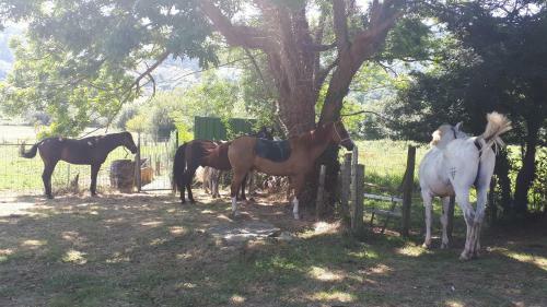 Apartamento Rural Zuri