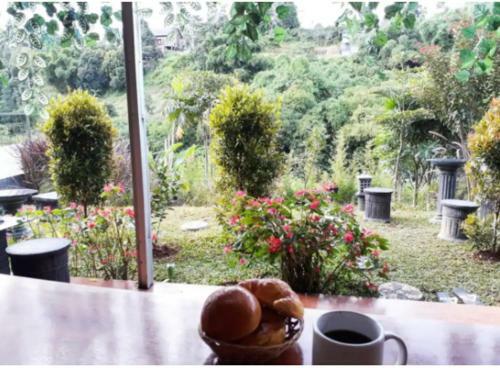 Lodge Davil Villa