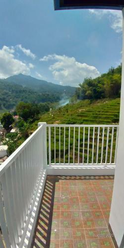 Kina Putih Resort