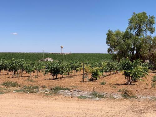 Casa Del Monte Agroturismo