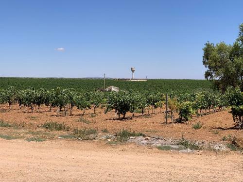 Casa Del Monte Agroturismo