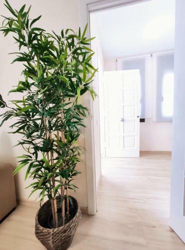 Apartamento Casa Con Jard�n Privado de 300m2 Y Piscina
