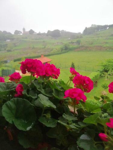 Agroturismo Casa De Tata