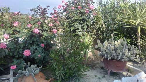 Rural House Triana - Private Pool
