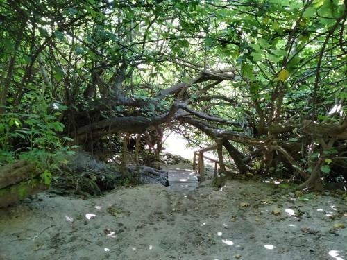 Agroturismo Alojamiento Rural, Cueva De La Abuela