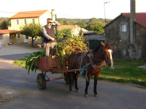 Agroturismo Stone Cottage Esencia