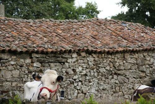 Agroturismo Stone Cottage Esencia