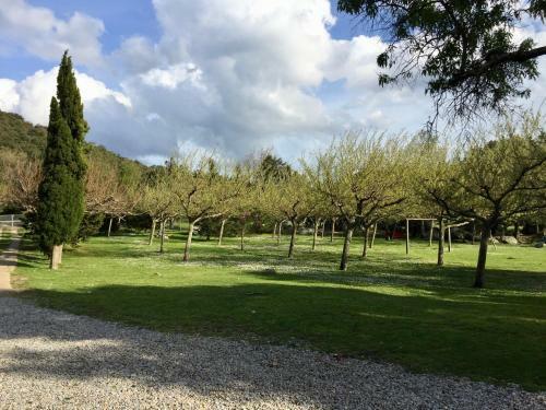 Apartamento Can Guill� 2