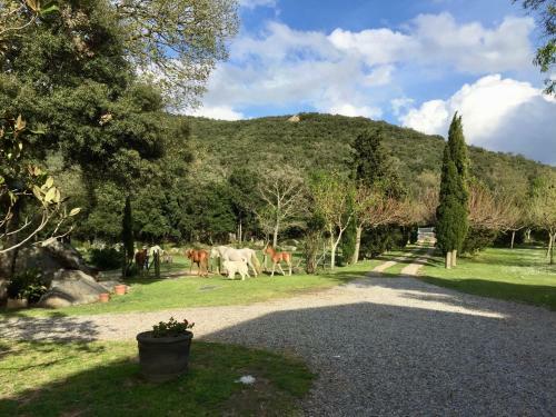 Apartamento Can Guill� 3