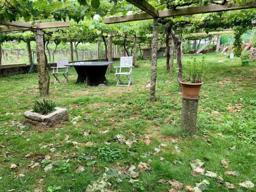 Apartamento Cacheiro