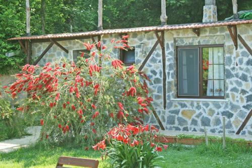 Ormanevi Otantik Hotel