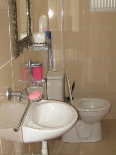 Hostal Hotel Necmi