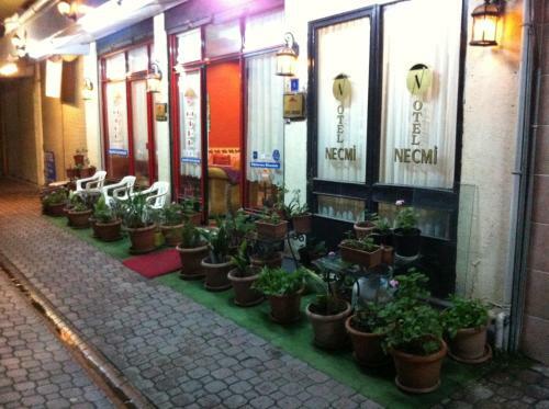 Hostal Hotel Necmi