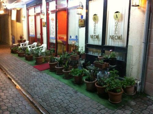 Hostal Hotel Necmi