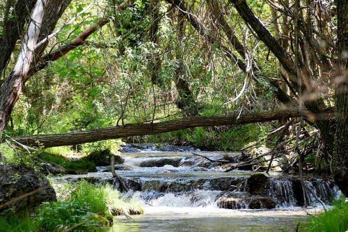 Agroturismo Encinar De Aguas Blancas