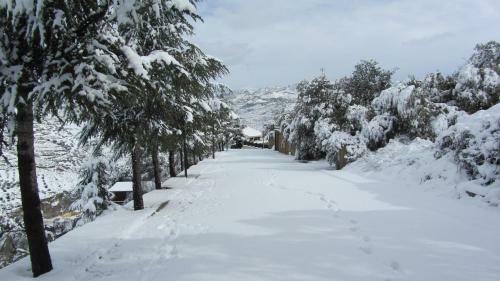 Agroturismo Encinar De Aguas Blancas