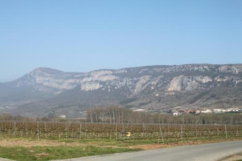 Agroturismo Casa Rural Bestetxea