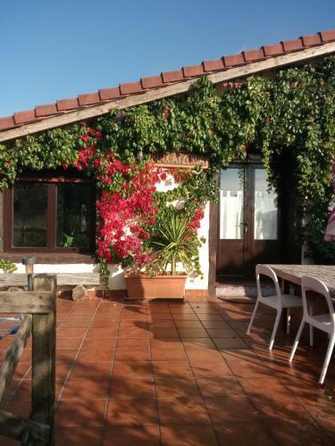 Apartamento, Junto Al Mar
