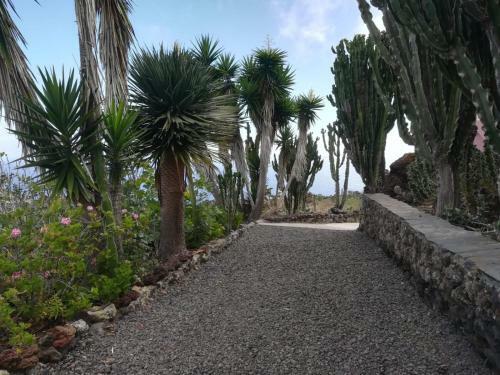 Apartamento Los Cactus