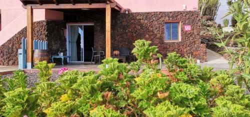 Apartamento Los Cactus