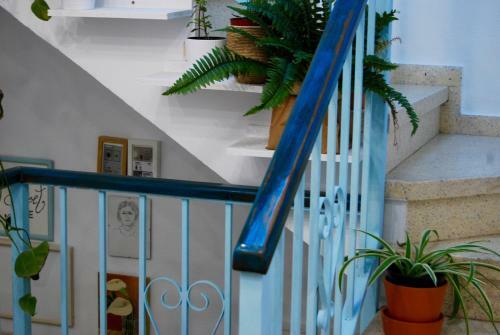 El Patio Del Limonero