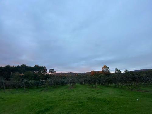 La Casa Del Kiwi , Casa Rural Asturias