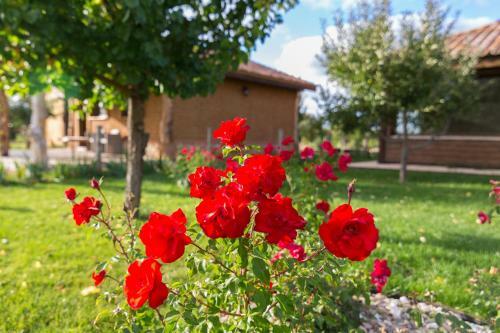 Apartamento Alojamiento Rural Villa Bagh