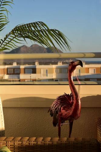 Apartamento �tico Los Flamingos. Exclusive Terrace With Views