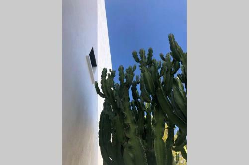 Villa Casa Granado En Cabo De Gata
