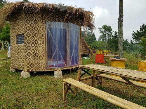 Glamping Di Jungle, Ciwidey