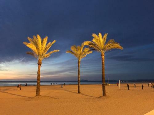 Apartamento Florazar De Ensue�o