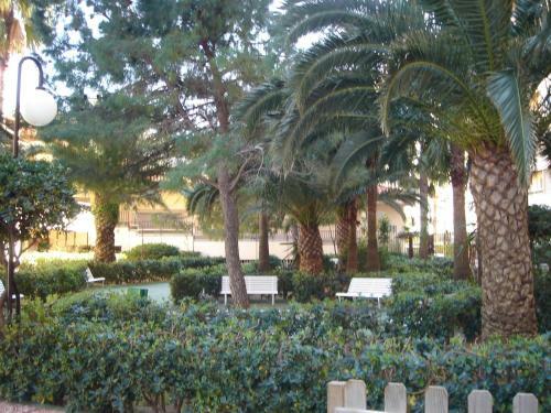 Apartamento Florazar De Ensue�o