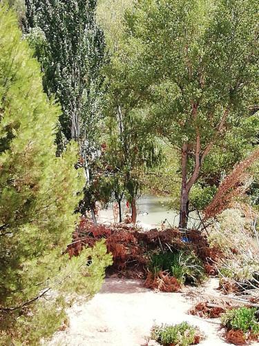 Agroturismo Casa Rural E Puente Del Segura
