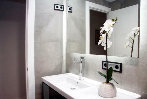 Apartamento Princesa Vut